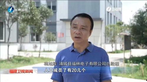 南平电视台爆料新闻,重大新闻事件深度解析